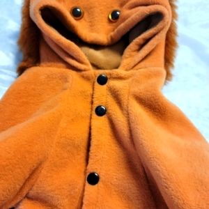 Lion Costume for Pets